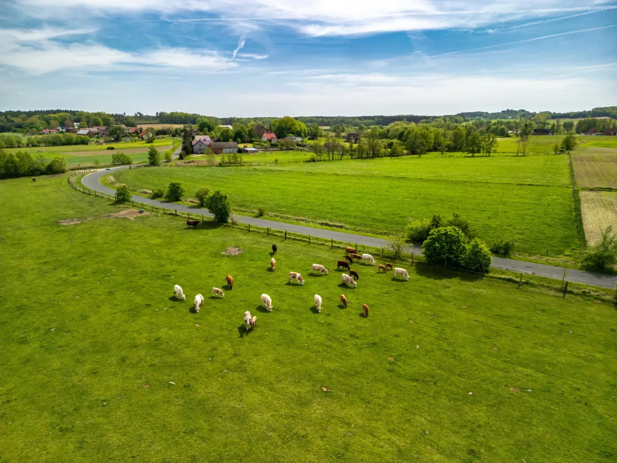 Farming scene in Poland