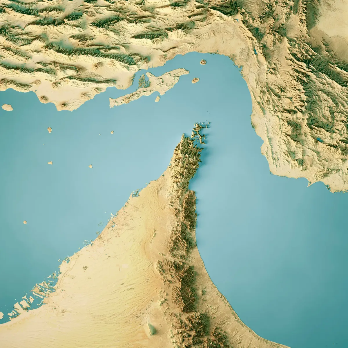 Strait Of Hormuz Satellite Topographic Map 3D