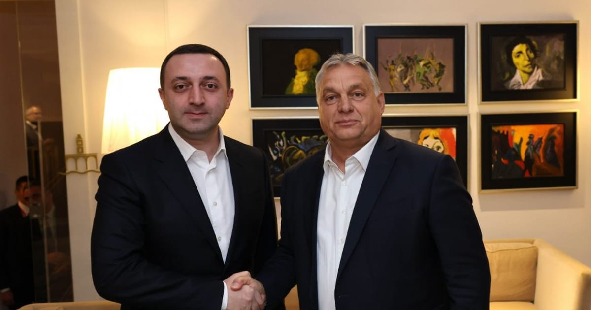 Hungary, Georgia discuss 'major new energy cooperation'