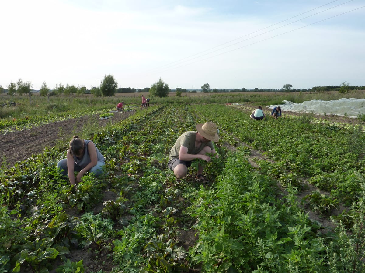 Austria, Estonia, Croatia high on organic farmland rankings