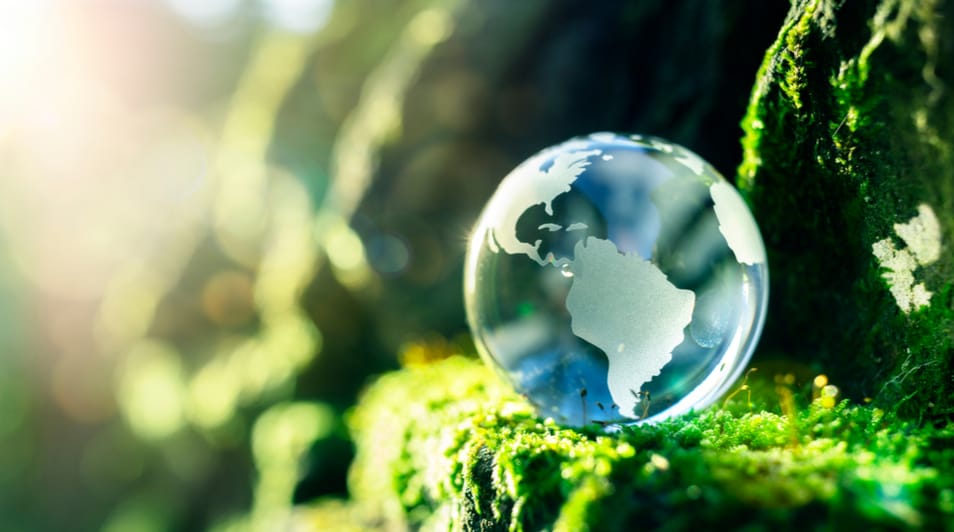 Poland rapidly emerging as CEE powerhouse, top UK researcher reports