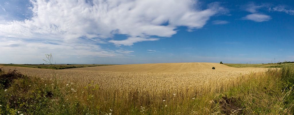 CEE countries go rogue as EU's ban of agricultural produce from Ukraine expires