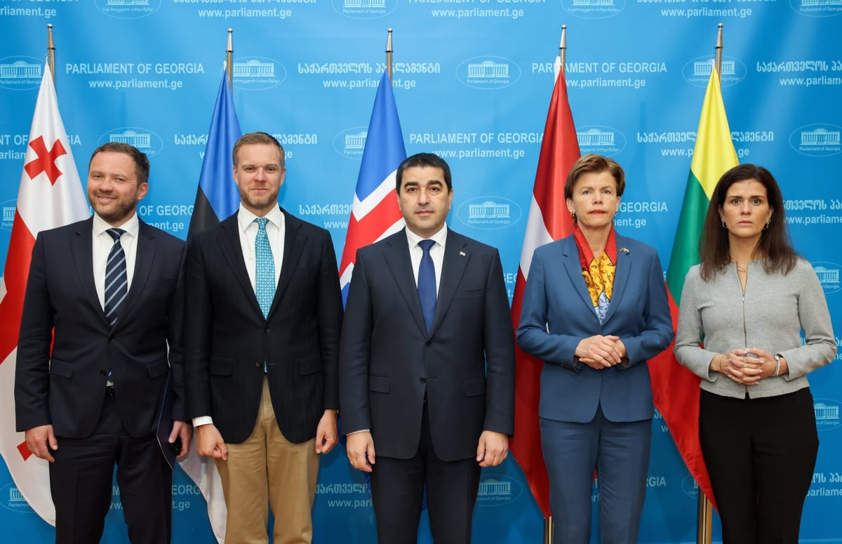 CEE countries send letter to Georgia over 'foreign agents law' concerns