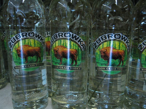 Polish bison vodka brand Zubrowka bottles