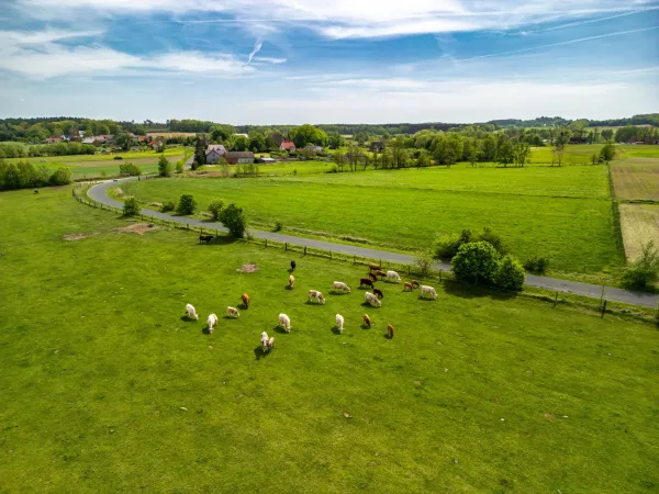 Farming scene in Poland