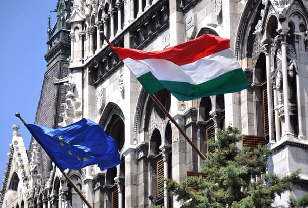 Hungarian government change - Regional reactions