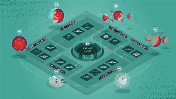 Ambitious Hungarian Biotech Firm Fights Cancer With AI