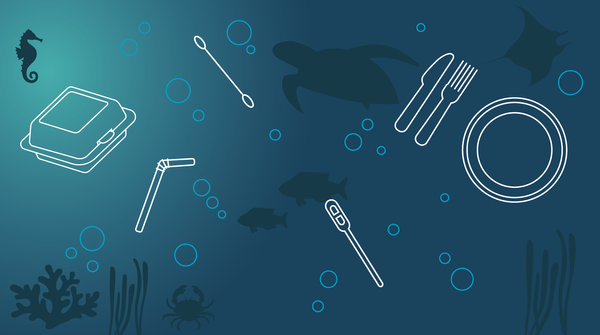 EU Bans top 10 Single-use Plastic Products