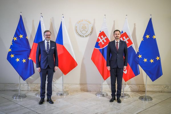 Fiala gets thumbs-up, vows to back EU