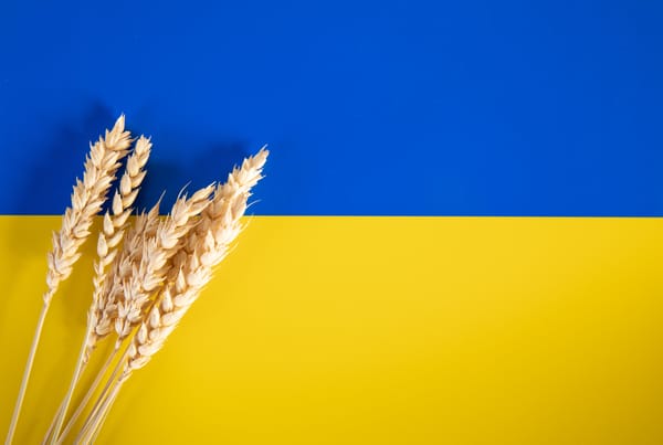 CEE leaders say EU may need to reintroduce farm tariffs on Ukraine