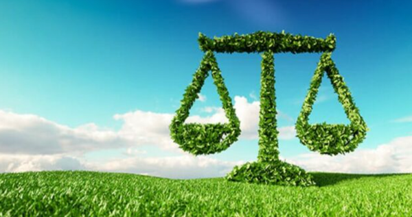 A new sector emerges in CEE, as companies anticipate compulsory ESG reports