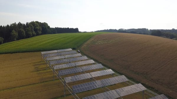 Poland set to build first agrivoltaic farm