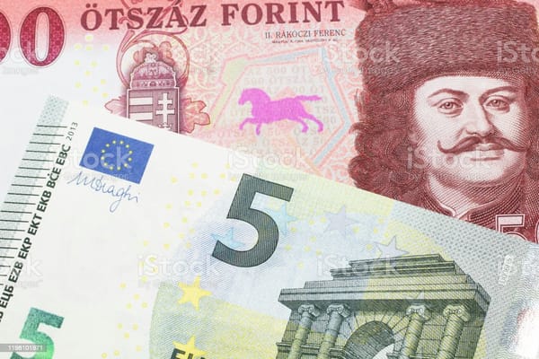 Forint falls regionally, as CEE central bankers mull rate cuts