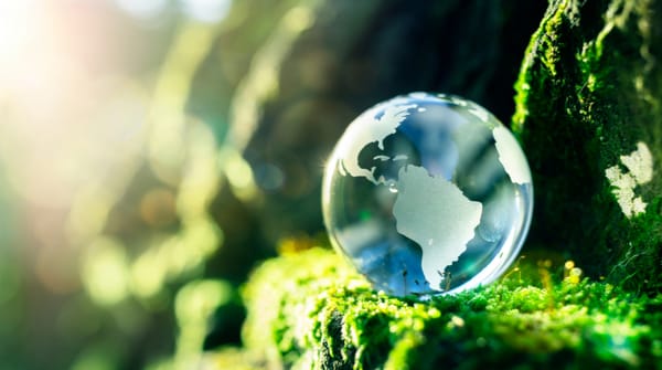 Poland rapidly emerging as CEE powerhouse, top UK researcher reports