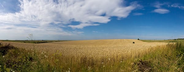 CEE countries go rogue as EU's ban of agricultural produce from Ukraine expires