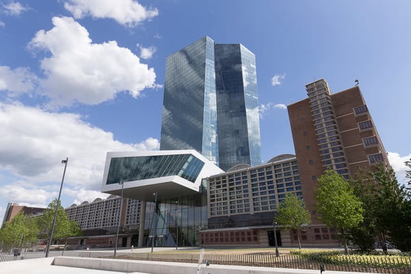 ECB steadies borrowing costs after year of hikes