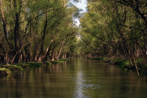 CEE braces for further flooding, as Storm Boris wreaks havoc